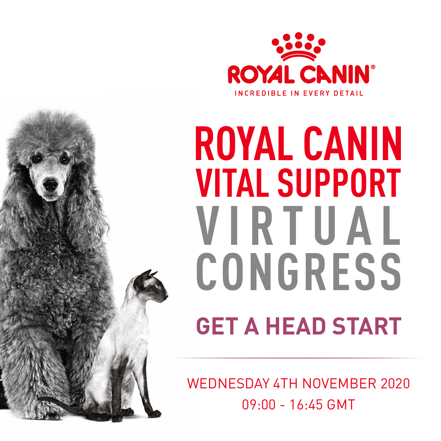 Royal canin outlet portal