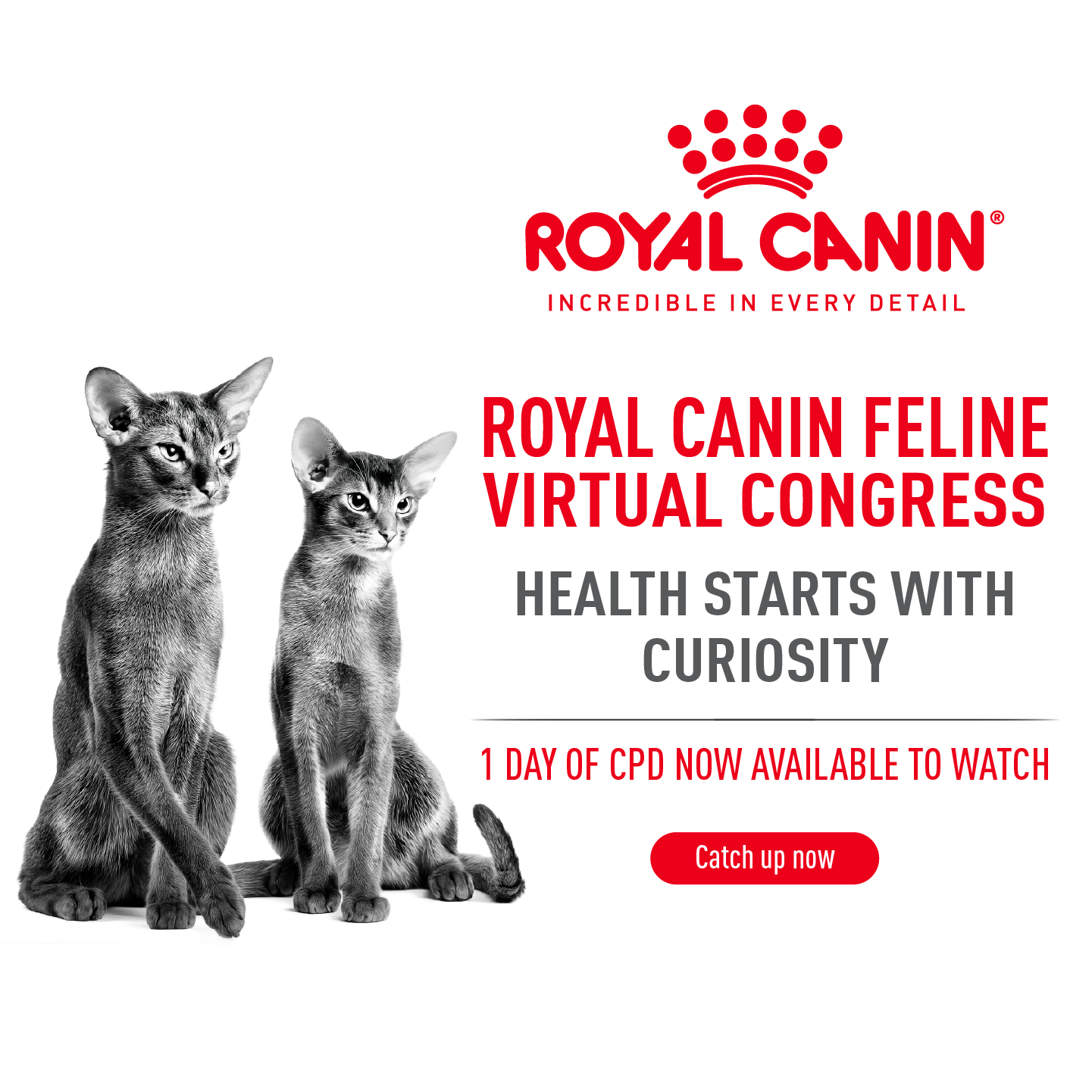 Royal canin veterinary clearance portal